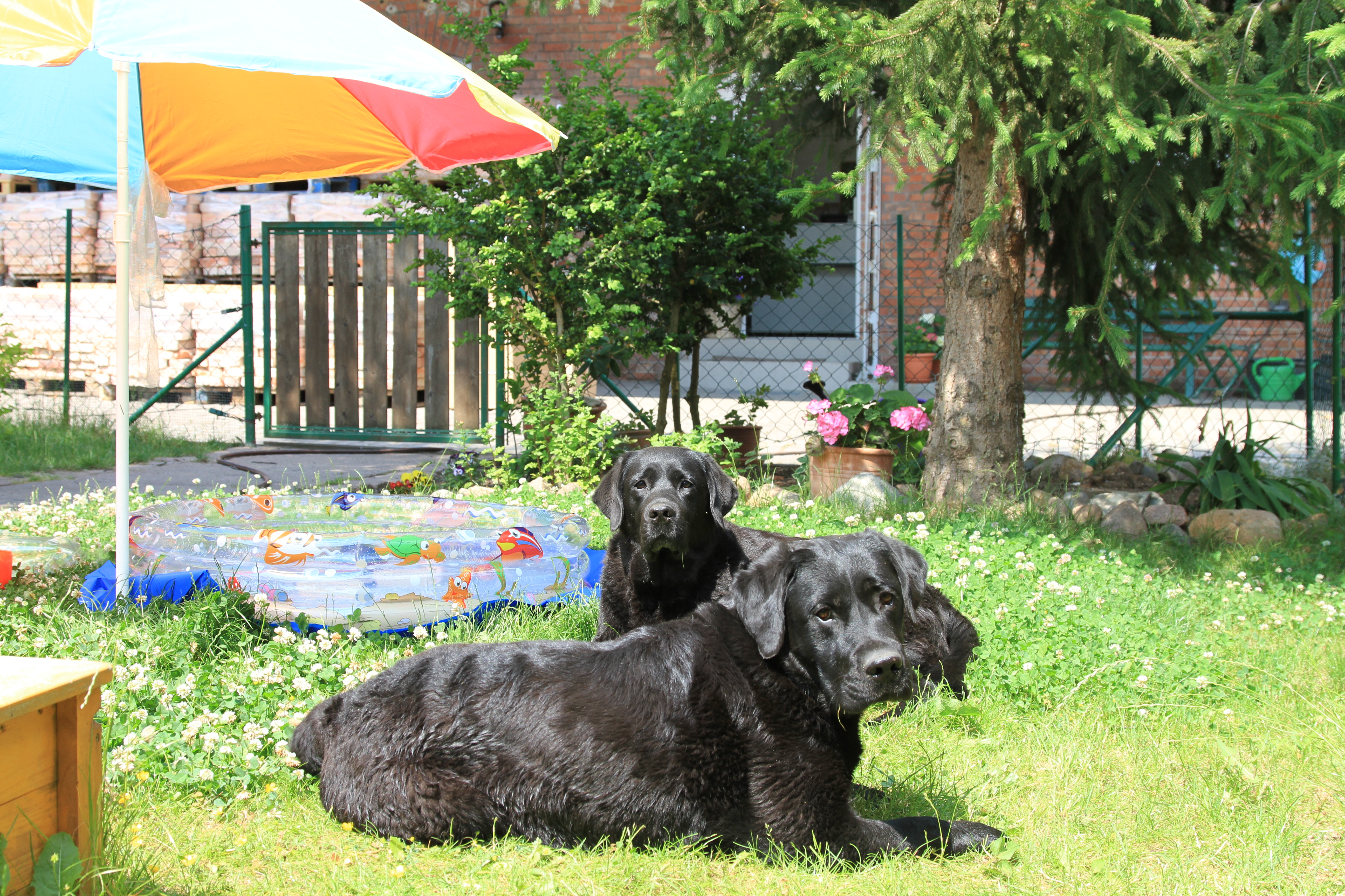Ferienzeit ist Urlaubszeit