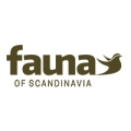 Fauna