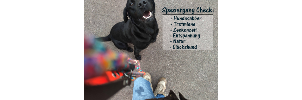 Der Tupfer Hund - Der Tupfer Hund - ein ganz normaler Spaziergang