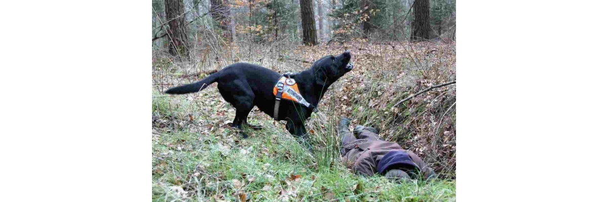 Hunde retten Menschenleben - Rettungshundearbeit mit Hunden für Menschen