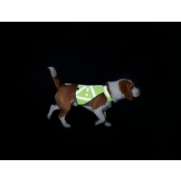 HUNTER Warnweste für Hunde