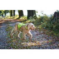 HUNTER Warnweste für Hunde S