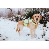 HUNTER Warnweste für Hunde S