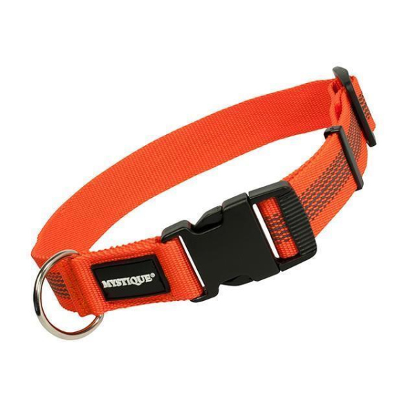 Mystique Gummiertes Halsband 30-40cm 30mm orange