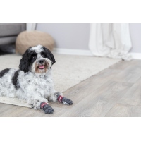 Trixie Hundesocken, Anti-Rutsch grau 2 St. S-M