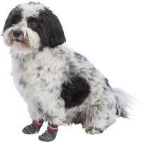 Trixie Hundesocken, Anti-Rutsch grau 2 St. L