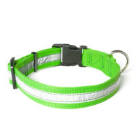 Mystique® Nylon Halsband Profi reflex 25mm neon grün 40-50cm