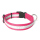 Mystique® Nylon Halsband Profi reflex 25mm purple 30-40cm