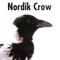 Nordik Crow Krähenlocker Lockjagd Krähenjagd