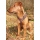 Niggeloh Geschirr FOLLOW LIGHT Hundegeschirr Suchgeschirr braun M