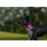 Orbiloc Dog Dual Leuchtclip pink