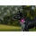 Orbiloc Dog Dual Leuchtclip pink