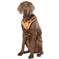 Niggeloh Geschirr Mantrailing braun L/XL