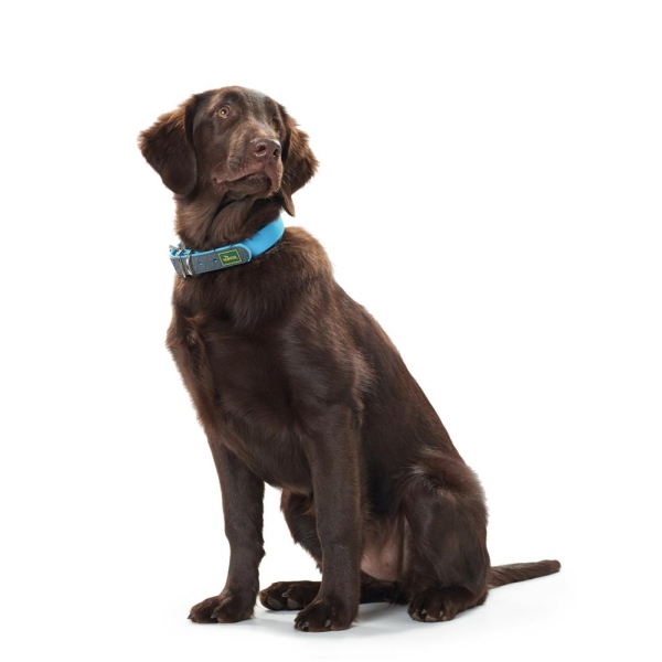 HUNTER Halsband Convenience - Marios Dogshop - nur das Beste fr Ihren  vierbeinigen Liebling