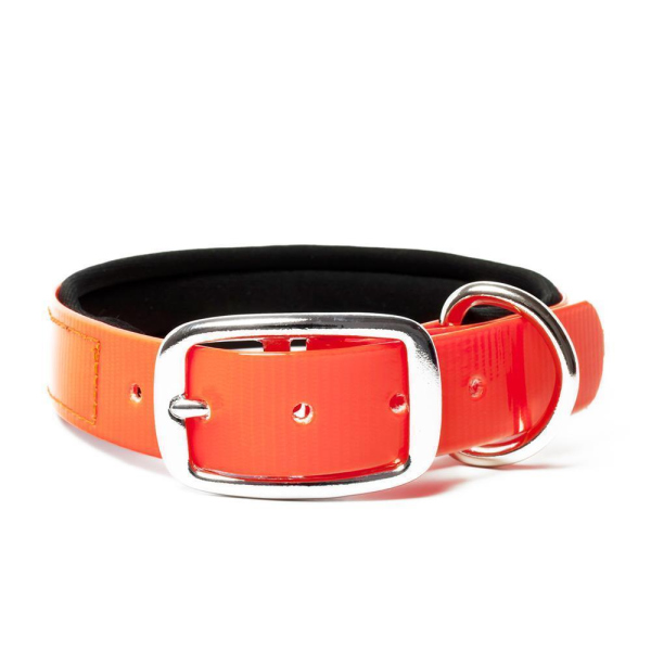 Mystique® Biothane Halsband Deluxe Neopren 25mm gold neon orange 55-63cm