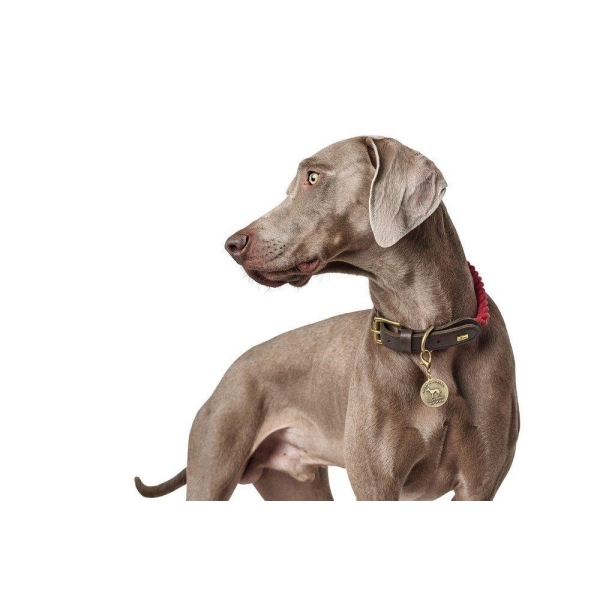 HUNTER Halsband List - Marios Dogshop - nur das Beste fr Ihren  vierbeinigen Liebling
