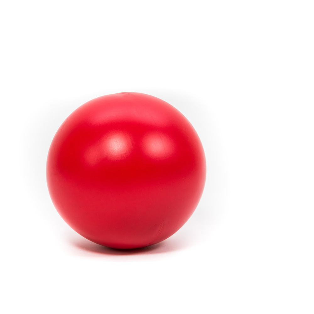 Treibball Treib Ball für Hunde Ø 25cm rot, 19,99
