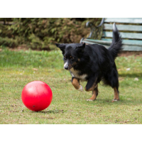 Treibball Ø 25cm rot