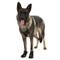 Trixie Hundeschuh Pfotenschutz Walker Active schwarz 2 St. M