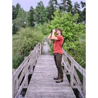 Pinewood 5985 Caribou Hunt Hose Wildlederbraun/Dunkeloliv...