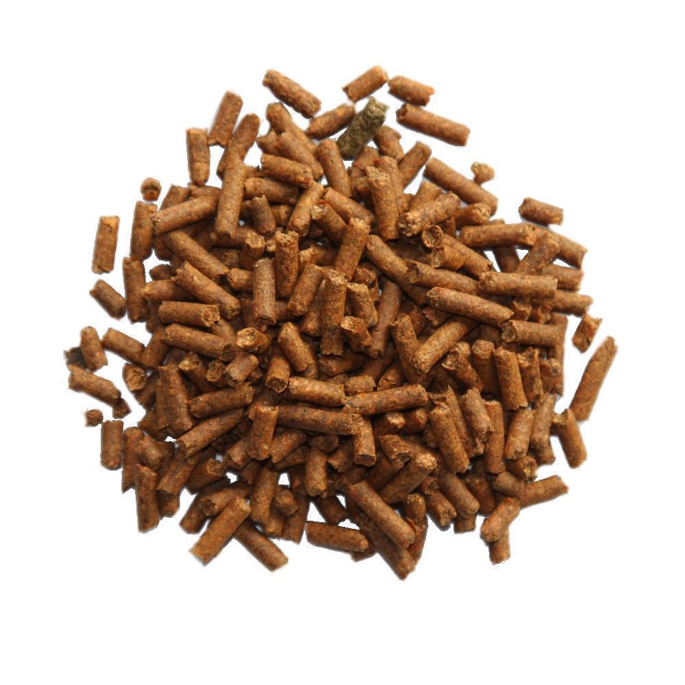 Olewo Karotten Pellets für Hunde 5kg, 25,45