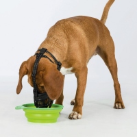 Trixie Maulkorb Muzzle Flex L-XL