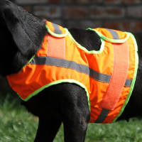 Bracco Jagdhund Signalweste orange