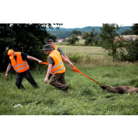 Dreizug Wildbergehilfe