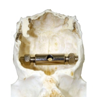 EUROHUNT Trophäenhalterung Hirsch Rotwild