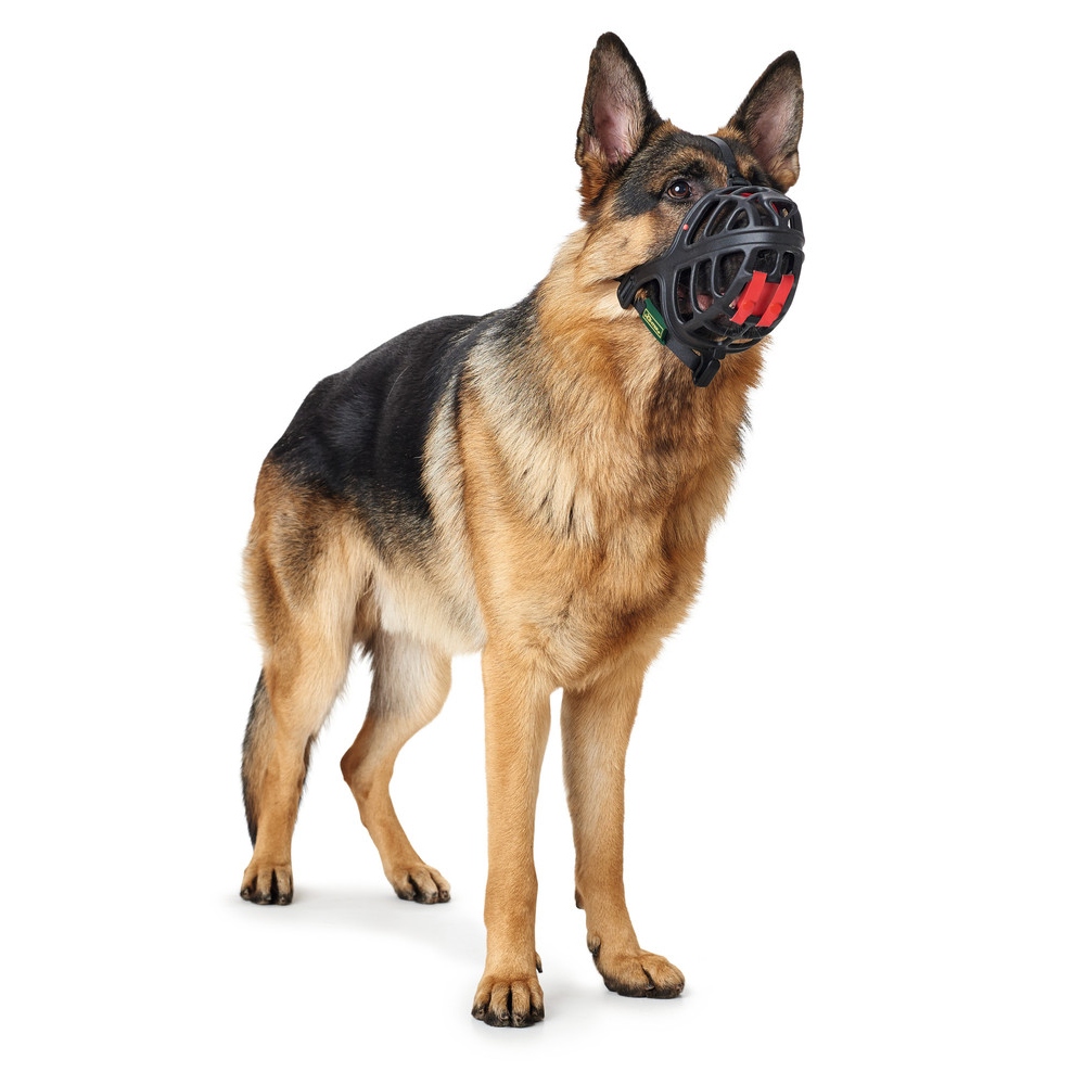 Hunter Maulkorb Albury Marios nur das Beste für Ihren