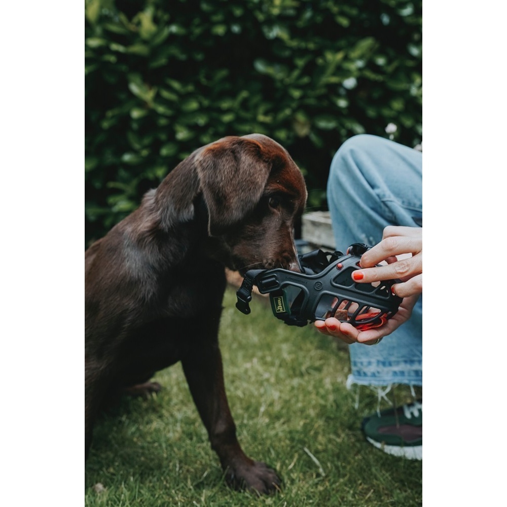 Hunter Maulkorb Albury Marios nur das Beste für Ihren