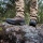 Haix Nature One GTX Jagdschuh UK 10.5 / EU 45