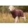 Dryup Cape brown XXL (74cm)