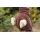 Dryup Cape brown XXL (74cm)