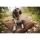 Farm-Land Hundedecke Hundebett PRO-THERMO Faserpelz 70x100 braun