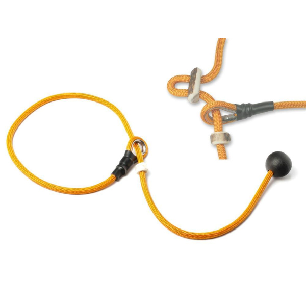 Mystique® Field trial Kurzführer 6mm mit Zugbegrenzung orange 65cm