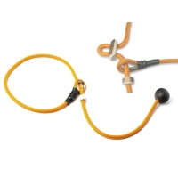 Mystique® Field trial Kurzführer 6mm mit...