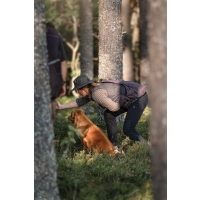 Pinewood 9478 Mosquito Hut mit Fliegennetz moosgrün