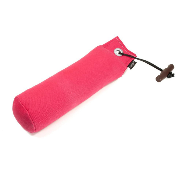 Mystique Dummy Trainer hot pink 1000g