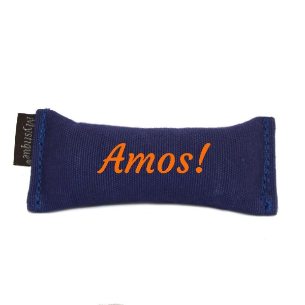 Mystique Sniffledummy Einzel Name blau orange