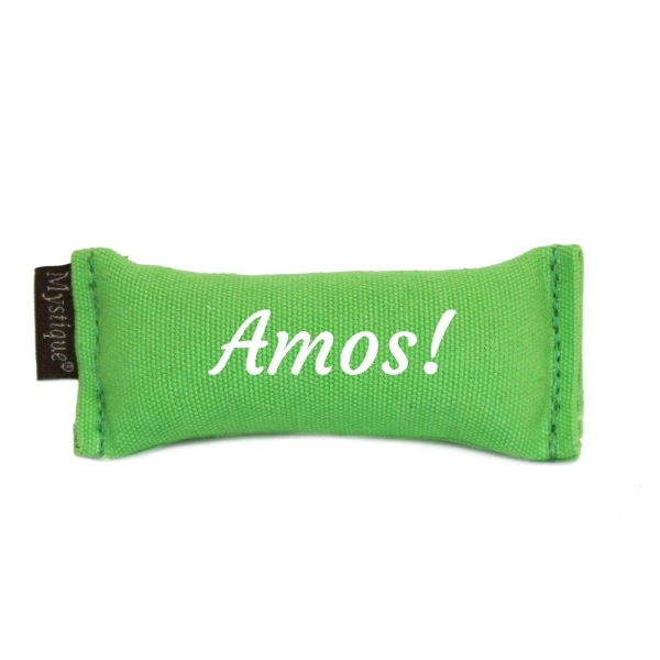 Mystique Sniffledummy Einzel Name neongrün weiß