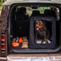 Farm-Land Auto Transportbox faltbare Autobox Hundebox...