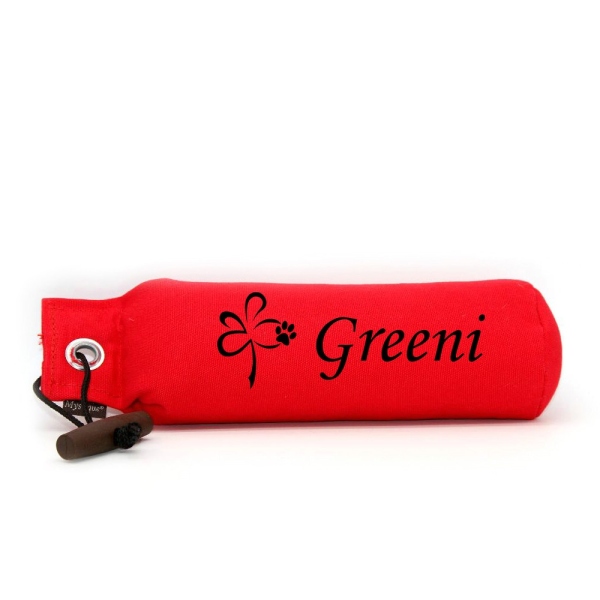 Mystique Dummy Einzel Name Monotype rot Glücksklee