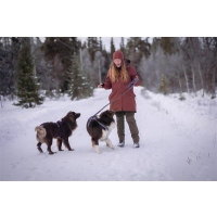 Pinewood 3302 Finnveden Hybrid Extrem Damen Hose Oliv (723) 38