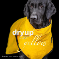 Dryup Cape yellow