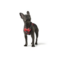 HUNTER Geschirr Divo Rot/Grau M