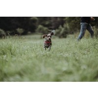 HUNTER Geschirr Divo Rot/Grau M