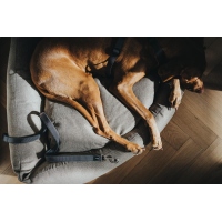 HUNTER verstellbare Führleine Divo Grau/Grau 25mm x 200mm