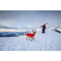 Ruffwear Vert Jacket Sockeye Red