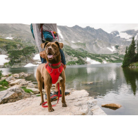 Ruffwear Front Range Halsband Red Sumac